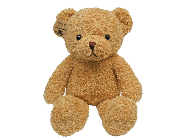 Teddy Bear n Doll - Barnes & Coleman Fat Bear - L175579B Photo
