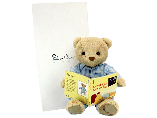 Teddy Bear n Doll - Silver Cross Bentham Bear - L136157 Photo